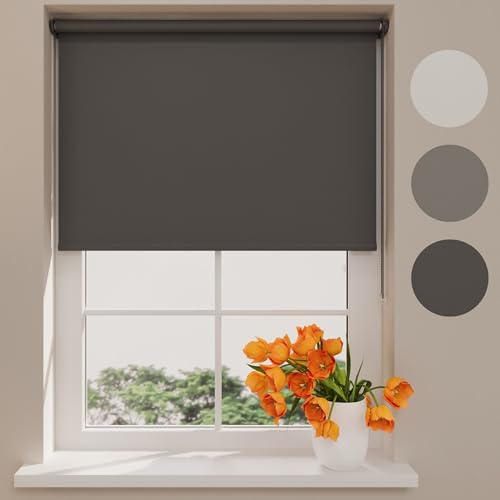 Radeco® Verdunklungsrollo ohne Bohren klemmfix 60 x 150 cm (BxH) anthrazit, Fenster rollos für innen, Rollo ohne Bohren, klemmrollo, fensterrollo, verdunkelungsrollo, rollos für Fenster ohne Bohren