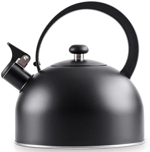 Bouilloire sifflante en acier inoxydable Noir 3 l