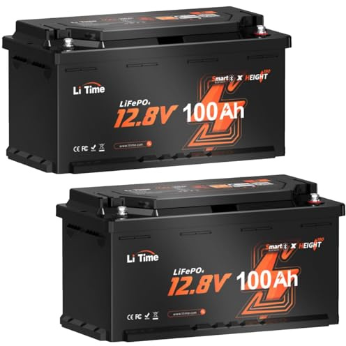 LiTime LiFePO4 12V 100Ah H190 Bluetooth Lithium Batterie für Wohnmobil | 2 Pack, DIN H8/L5, 100A BMS, 4000+ Tiefzyklen, Untertemperaturschutz, Schutzklasse IP65, 1280Wh, für RV, Camping, Solaranlage