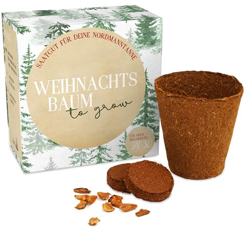 Weihnachtsbaum Anzuchtset als Adventskalender Füllung - Mini Geschenk als Idee für den Adventskalender für Frauen und Männer - Nordmann-Tanne zum selber Pflanzen