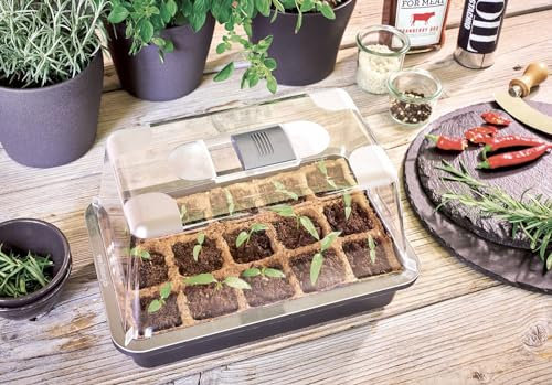 BURI Gewächshaus Komplett Set Mini Zimmergewächshaus Anzucht Treibhaus Pflanzentöpfe