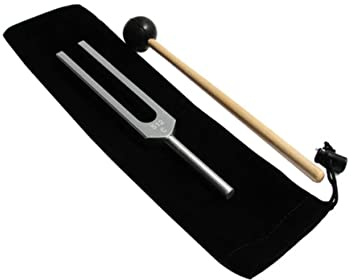 UPKOCH Medizinische Stimmgabel 512 hz aus Aluminiumlegierung für Hörbewertung und Neurosensorische Tests mit Silikonhammer und Tragetasche