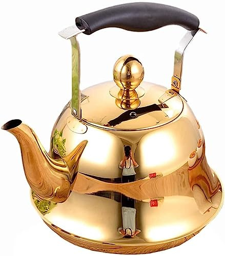 Bouilloire sifflante avec poignée anti-brûlure pour cuisinière à induction, gaz, bouilloire de cuisine (B 1 l)