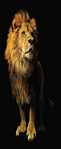 A.Monamour Türtapete Selbstklebend Türfolie Türposter 3D Porträt Eines Großen Männlichen Afrikanischen Löwen Vor Schwarzem Hintergrund Vinyl Folie Türdeko Tapete Wandbild Türaufkleber 90 x 200 cm