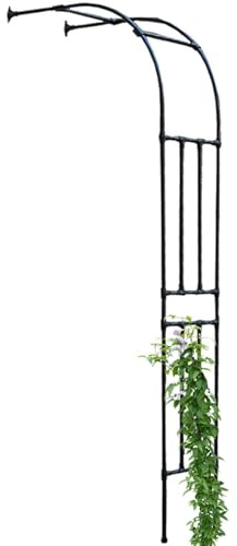 Väggmonterad Rosenbåge spaljé, Halvcirkelformad Trädgårdsbåge i metall med rosor, Litet halvbåge för klätterväxter jasmin, dekoration berså utomhus, 60 x 240 90 x 240 120 x 240 cm(svart,H240 x B120cm)
