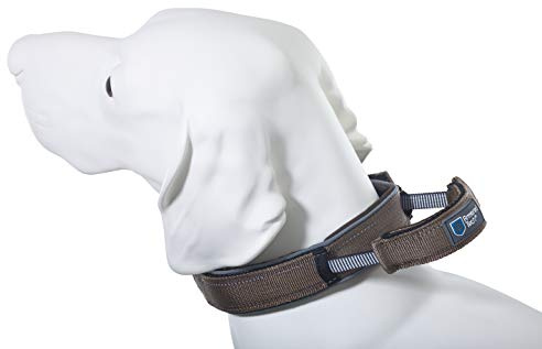 Armored Tech Dog Control Halsband mit integrierter Kurzleine (L - Halsumfang 45-53 cm, Mocca)