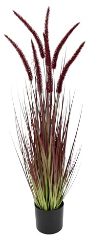 Fuchsschwanzgras im Topf Gras Kunstpflanze Kunstgras Ziergras Grünpflanzen Grasbüschel Grasbündel Ufergras Grasbusch Ziergras Solitärgras Herbst Deko Borstenhirse Panicoideae Süßgräser