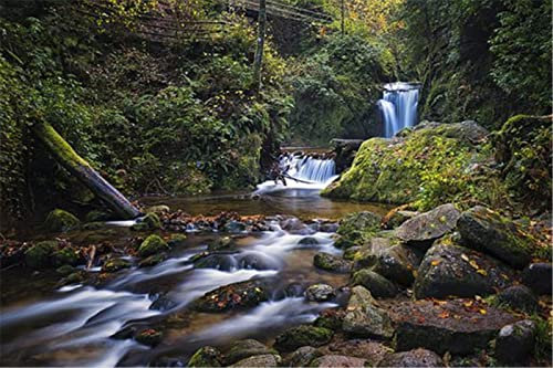 Yingxin34 Puzzles 2000 Teile-2000 Teile Puzzles für Erwachsene – Wasserfall im Wald – Puzzles – Familien-Dekompressions-Lernspiel.-70 x 100 cm (27,56 x 39,37 Zoll)