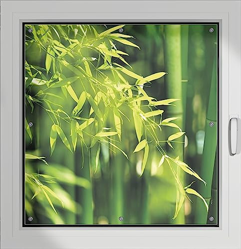 Wallario Lichtschutzbild, Dekorativer Sichtschutz Sonnenschutz 96 x 93 cm mit Motiv: Bambuswald mit grünen Bambuspflanzen - Verdunklungsrollo ohne Bohren