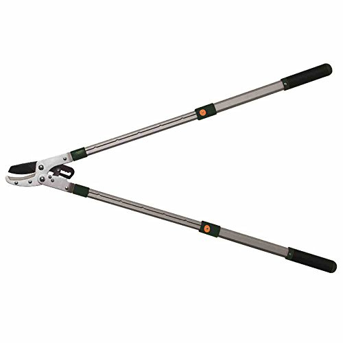 Siena Garden Astschere, teleskopierbar 68-102cm, silber/grün, 557321