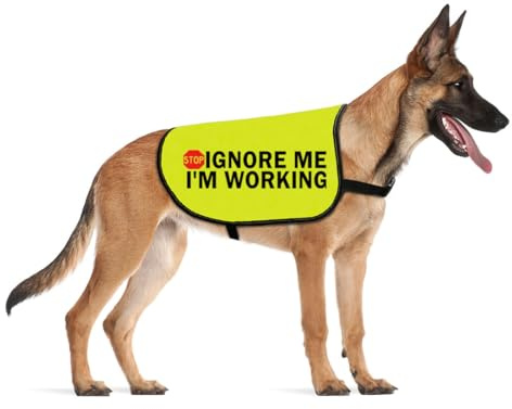 Warnweste für nervöse Hunde, Arbeitshund, ängstliche Hunde, verängstigte Hunde, Warnweste (I'M WORKING Large)