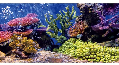 MIRRORANG 61x30cm Langlebige Vinyl Aquarium Dekor Hintergrund Koralle Tropische Fische Unterwasser Fisch Tank Poster Hintergrund