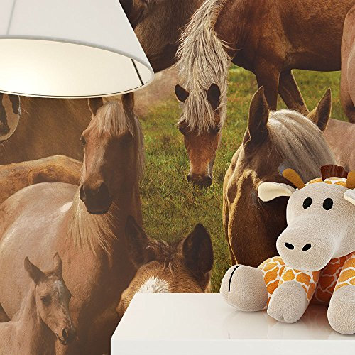 newroom bambini sfondo marrone carta da parati verde bambini, Cavallo Ragazza bella moderne e aspetto raffinato per bambini, ragazzi o ragazze, incluso tapezier Rat GEBER