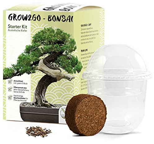 GROW2GO Bonsai Starter Kit Anzuchtset - Pflanzset aus Mini-Gewächshaus, Samen & Erde - nachhaltige Geschenkidee für Pflanzenfreunde (Australische Kiefer)