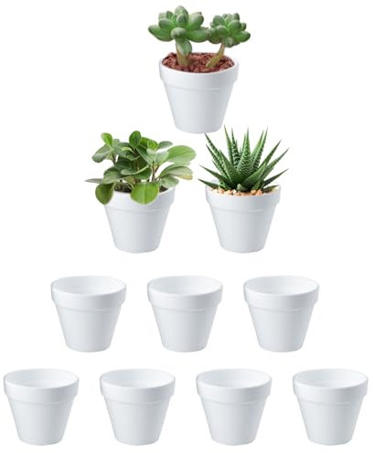 GESDYO 10 mini maceteros de cerámica para plantas suculentas, color blanco, inastillables, para plantas de interior y exterior, plantas suculentas (6 x 7 cm)