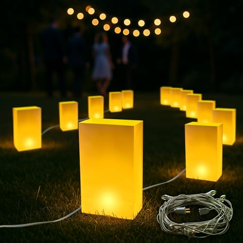 BlissfulTie Electric Luminary Bags Plug-in, Christmas Luminaries for Outdoors, Plastic Luminary Bags Waterproof, Reusable, Holiday Lighting Decor for Pathway, Walkway and Front Yard (Set of 20)
