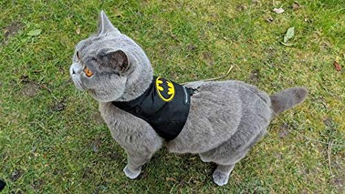Mynwood Cat Jacket Geschirr für Kätzchen oder ausgewachsene Katzen (Batman, ausgewachsene Katze)