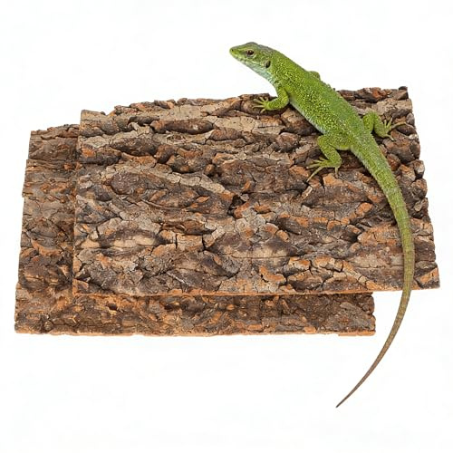Zerodeko 2 x terrarium korkbark bakgrundsplatta reptilbassäng träd bakgrund väggdekoration livsmiljö klättermatta dekoration för ödla sköldpadda gecko bartagamen groda