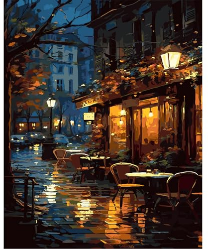 JATOK Paint by Numbers for Adults, Painting Kits for Beginners On Clear Symbols Colored Canvas, Easy DIY Acrylic Pigment Drawing Paintwork for Home Wall Decor, 16x20in Frameless, Night Scene