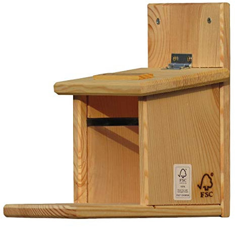 CJ Wildlife Eichhörnchen-Futterautomat Natuurmonumenten