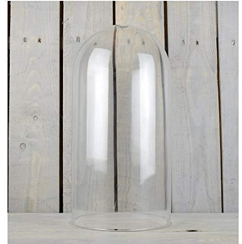 EMH Grande cloche en verre pour terrarium mousse 40 x 20 cm avec trou