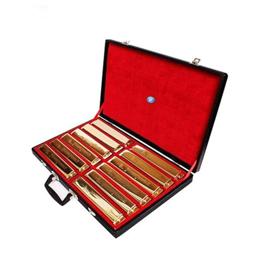 Erwachsene Mundharmonika 12-teiliges Mundharmonika-Set mit 24 Löchern und 12 Melodien goldene Farbe Tremolo-Harfe mit Geschenkbox Mundharmonika