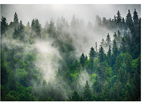 Fototapete Wald im Nebel Landschaft Panorama Bäume Natur - inkl. Kleister - für Wohnzimmer Schlafzimmer Flur Vlies Tapete Vliestapete Wandtapete Motivtapeten Montagefertig (416x254 cm)