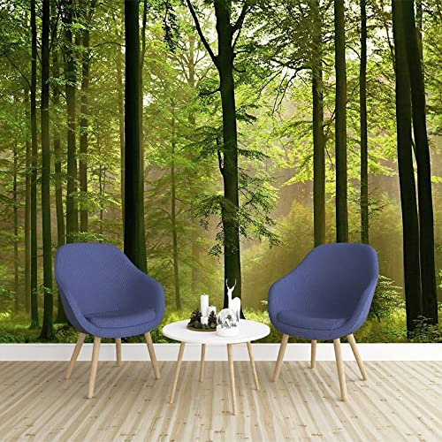 Fototapete 3D Baum Natur Landschaft 350 cm B x256 cm H Vlies Tapeten Wandtapete XXL Moderne Wanddeko Wohnzimmer Schlafzimmer Büro Flur