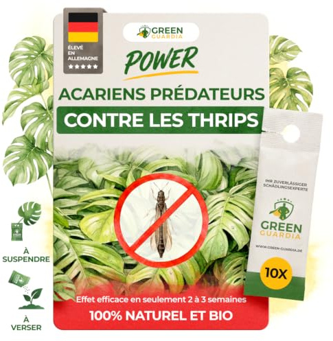 GREEN GUARDIA Power Raubmilben contre les Thrips – 10 Sachets d’Acarien Prédateur Biologique – Protection des Plantes d’Intérieur et Ornementales