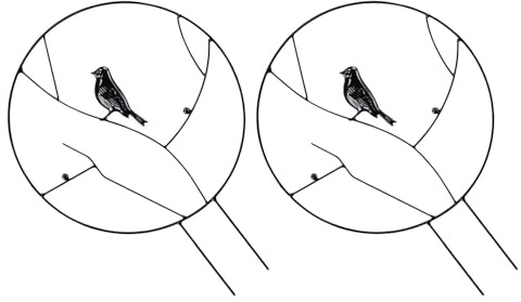 BCOATH Lot de 2 Treillis pour Plantes Grimpantes en Fer Noir « Petit Oiseau » – Support Stable et Résistant aux Intempéries pour Pots D’Intérieur et Jardin Support Ajustable pour
