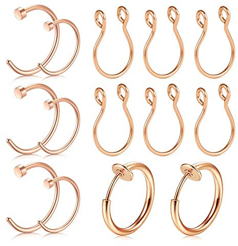 AceFun Magnetisk falsk näsa ring, icke-piercing, falsk näsa ring, septumring, falsk näsa helix ringar för dam herr, Metall