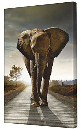 SUAQUE Elefant Premium Leinwand randlos dekoratives Gemälde 30,5 x 45,7 cm, Ölgemälde für Wohnzimmer, Schlafzimmer, Büro