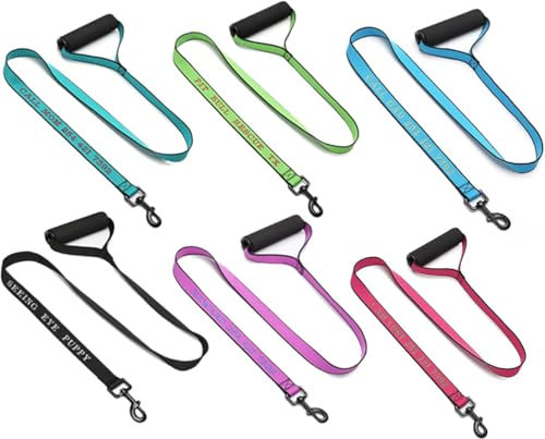 Handimake Hundehalsband mit personalisiertem Hundenamen und Telefonnummer, besticktes Nylonhalsband für kleine, mittelgroße und große Hunde, lasergraviert (Nylon-Traktionsseil)