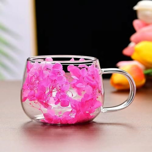 RYHMHA Doppelglas Kaffeebecher, Getrocknete Blumen Doppelt Isolierte Tasse, 2er Set mit Löffel, für Heiß- und Kaltgetränke, Cappuccino, Latte, Säfte (Rosa)