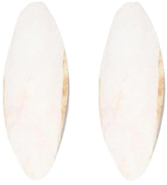 Sepia Schale für Vögel, 15-20 cm, 2 Stück Vogelschnecke, Feucht für Reptilien, Kanarienvögel, Nymphos