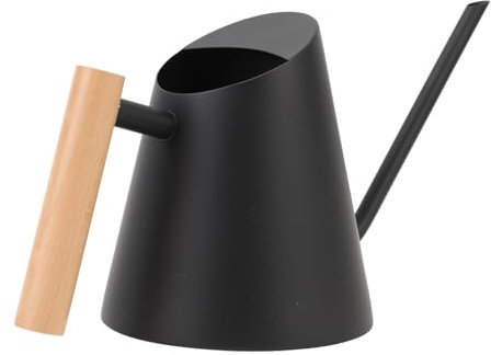 Regadera para interiores, aspecto mate, acero inoxidable para oficina (negro)