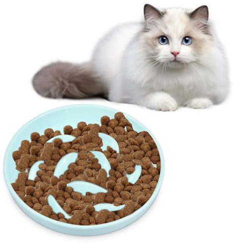 Anti Schling Napf Keramik,Katzennapf mit langsamem Futter,erhöhter Rand,Fischform Futternapf für Haustiere,Anti-Erbrechen Futternapf,mühelos zu reinigen,Futternapf für Katzen und kleine Hunde (Grün)