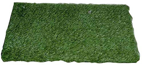 YOUJIAA Waschbar Kunstrasen Austauschbar Hunde Training Rasenmatte Welpentoilette Rasen für Hundetoilette & Hundetöpfchen (Grün, 63 * 38cm)