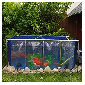 Piscine Fuori Terra, Acquario Chiaro Serbatoio D'acqua PVC Tela Piscine For Bambini Con Staffa In Acciaio Inox Facile Da Installare, Dimensioni Multiple ( Colore : Blue+Clear , Taglia : 120x80x61cm )