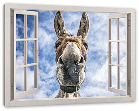 Pixxprint Lustiger Esel, Fenster, Größe: 80x60cm, Leinwandbild, fertig gespannt, Wandbild, Dekoration, Kunstdruck, kein Poster