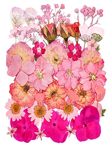 18 Arten von 37 Stück Lila Getrockneten Gepressten Blumen für Harzformen. Echte, Natürliche Gepresste Blumen für DIY-Kunsthandwerk, Kerzenherstellung, Nageldekoration,Handyhüllen und mehr
