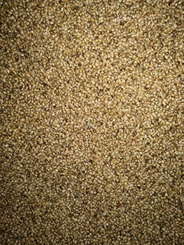 Eurital Futter Hanf/Hanfsamen/Hanfsaat für Vögel und Pferde (2,5 kg) | 100 % Hanfsamen – 2,5-kg-Beutel für Pferde und Tauben