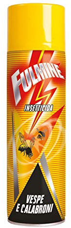Fulmine Fulmine Vespe Calabroni Schiuma, 500ml