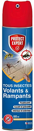 PROTECT EXPERT Aérosol Foudroyant Insectes Volants & Rampants - 600ml - Moustiques Mites Alimentaires Rampants Fourmis Puces - Action Curative & Préventive VOLRAMP600