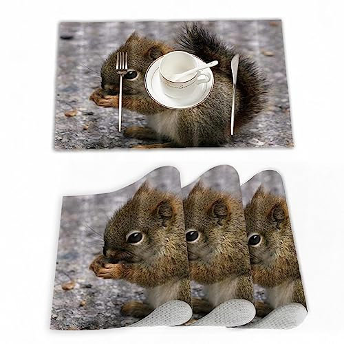 Platzset, Satz von 4 Platzsets 30x45 cm,Tiere Schöne Eichhörnchen Essen Tannenzapfen,Gewebte Vinyl-Tischsets, waschbare und langlebige Tischsets, Tischsets für den Innen und Außenbereich