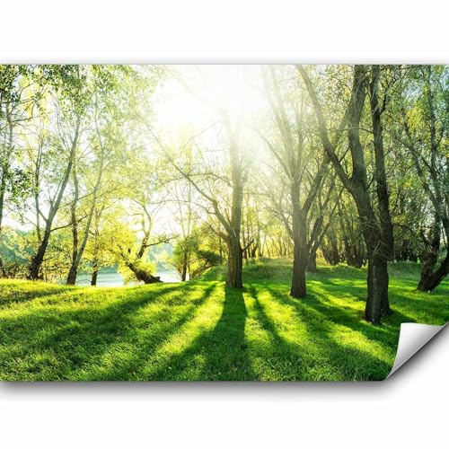 murando - Vlies Fototapete Wald 350x256cm- Foto Tapete Schlafzimmer Wohnzimmer Vliestapete XXL Wandtapete Motivtapeten Bildtapete 3d Effekt Wand Dekoration - Natur Landschaft grün c-B-0336-a-a