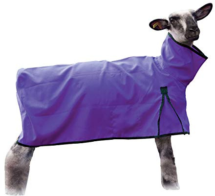 Weaver Leather Livestock Sheep Blanket, Solid Butt, Extra-Large, Purple