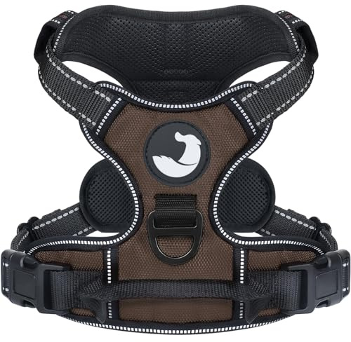 Joytale Anti-Zug Hundegeschirr für kleine Hunde, Braun, S | Perfekter Sitz, gepolstert & reflektierend, 2 Anleinpunkte (vorne & hinten), Haltegriff für Treppen & Auto, für Training