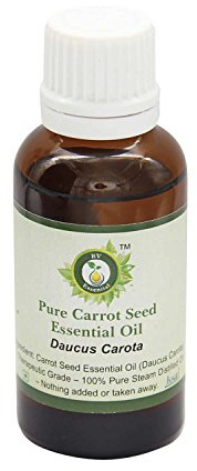 Ätherische Carrot Seed Öl | Daucus Carota | Für Haare | Für die Haut | 100% reines natürlich | Dampf destilliert | Therapeutisch | Carrot Seed Essential Oil | 50ml | 1.69 Unzen By R V Essential