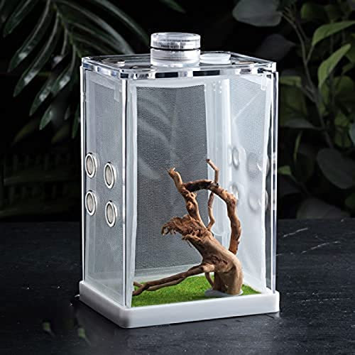 Mini-Terrarium, Reptilien-Aufzuchtbox, Transparenter Acryl-Reptilienkäfig, Lebensraum, Insekten-Futterbox, Kletter-Haustier-Beobachtungsbox Mit Mini-Lampe, Kletterwurzel Für Eidechse, Skorpion, Go